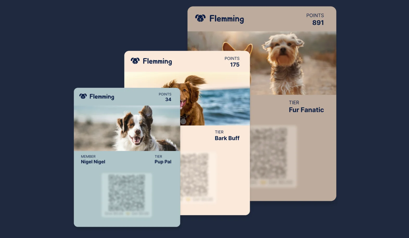 Always Up-to-Date: Wallet Now Instantly Reflects Loyalty Member Updates